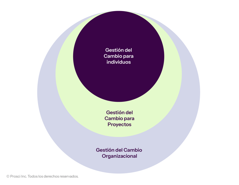 DataVis_Graphs_Levels-of-CM_ES
