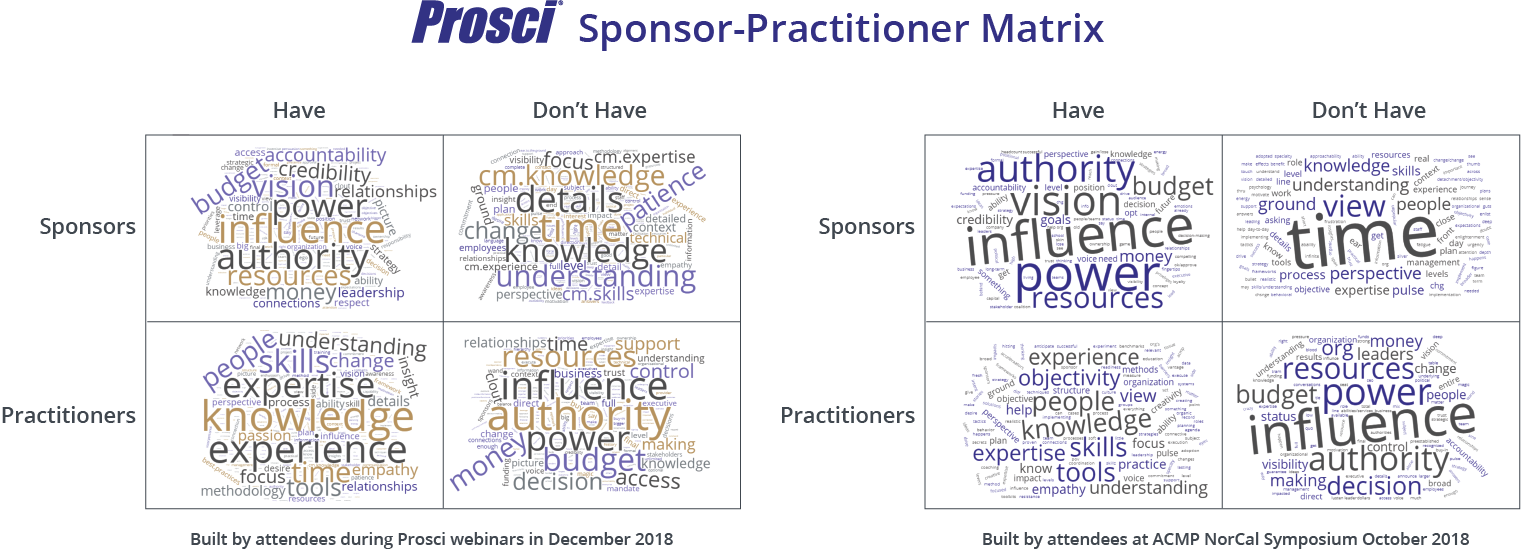Sponsor-Practitioner Matrix-Examples