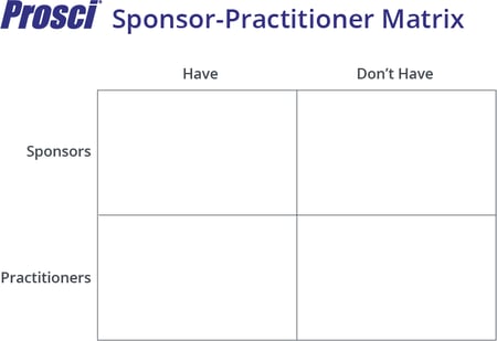 Sponsor-Practitioner Matrix