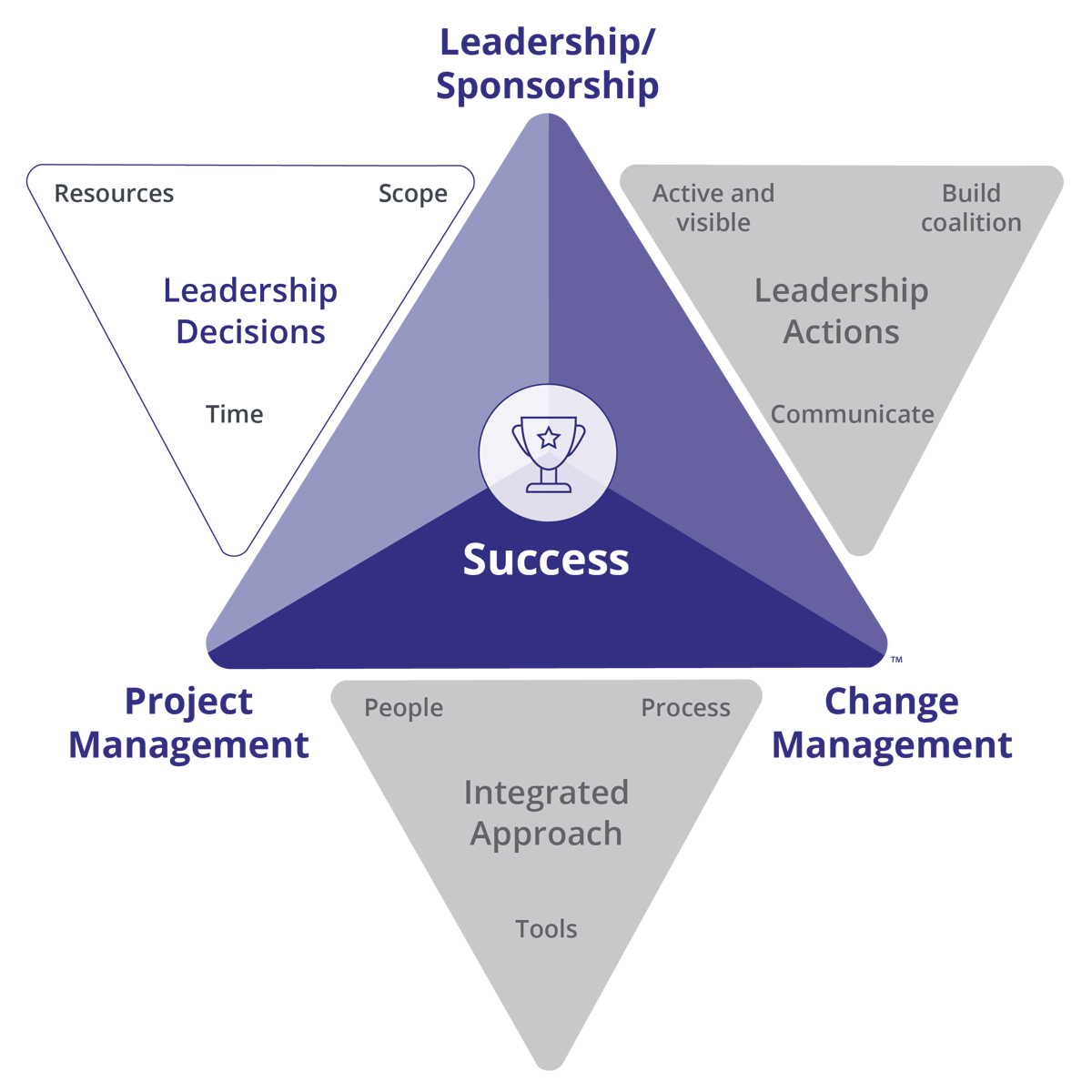 change leadership risk
