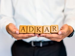 O Modelo de Mudança Individual