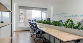 Claves para asegurar el crecimiento sostenible en tu empresa