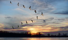 Alimente sua ambição de ser um líder na mudança