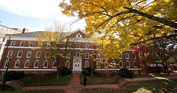 UVA-School of Medicine