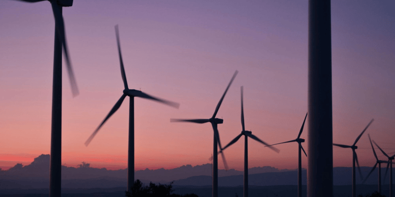 Change Management für Nachhaltigkeitsstrategien