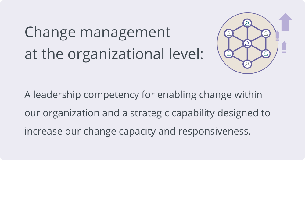 Change Management at the Organizational Level